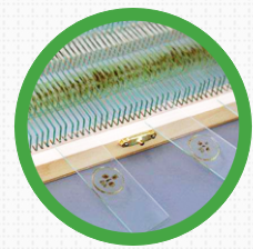 为什么生物切片标本制作会不合格?