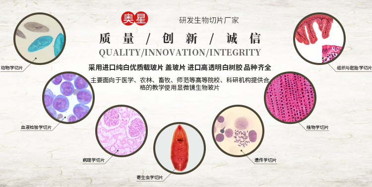 河南奥星教学仪器有限公司